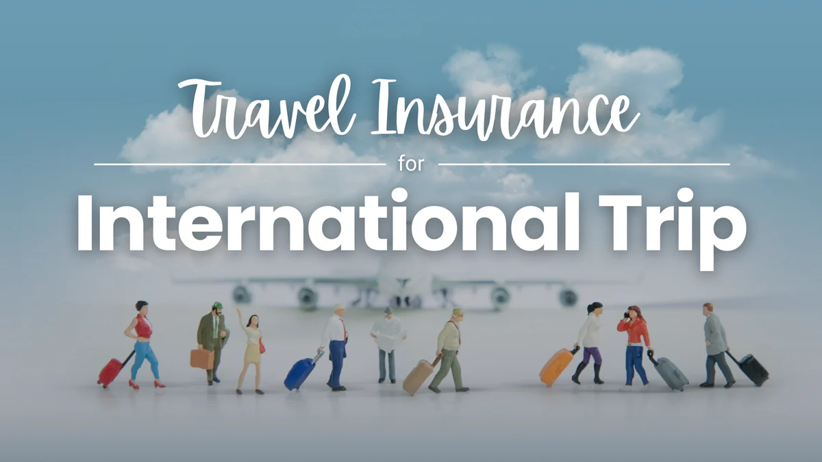 International insurance illustration 1